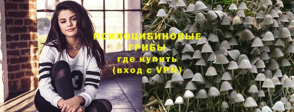крисы Алексеевка