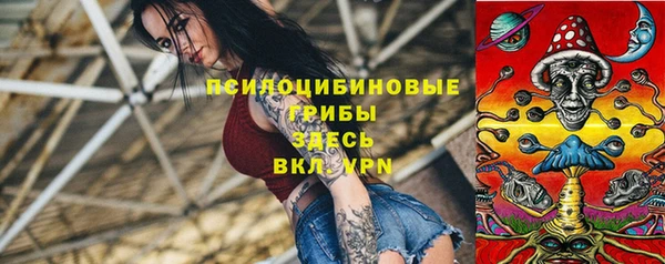 крисы Алексеевка