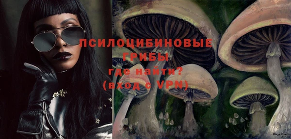 крисы Алексеевка