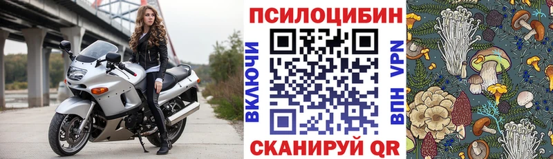 хочу   Андреаполь  Галлюциногенные грибы Psilocybe 
